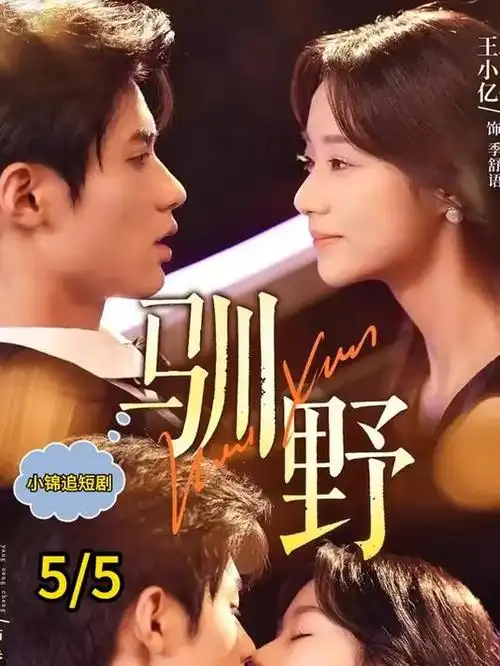 风暴眼职场剧热播全集在线观看